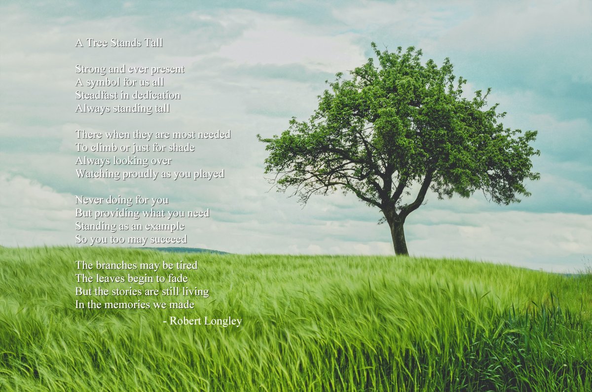 A Tree Stands Tall - Sacred Poems - inspirational poetry books